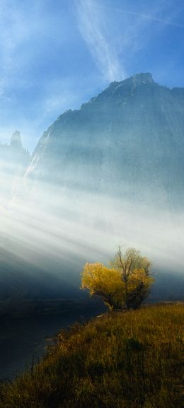 sunlight, landscape Wallpaper 1440x3200