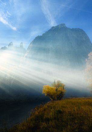 sunlight, landscape Wallpaper 1668x2388