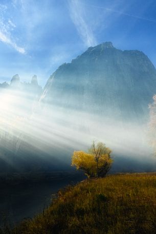 sunlight, landscape Wallpaper 640x960