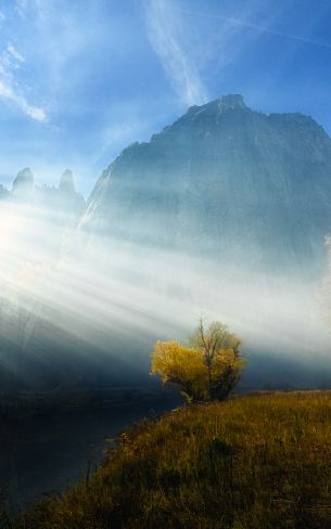 sunlight, landscape Wallpaper 800x1280