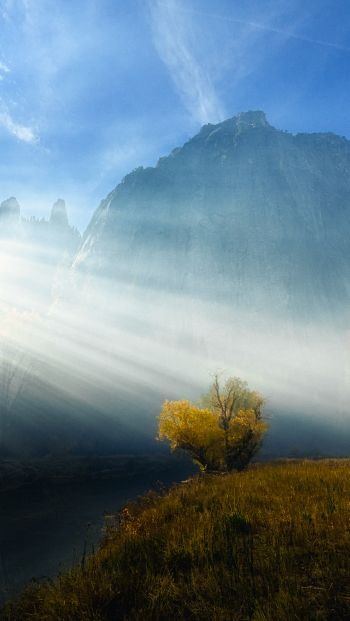 sunlight, landscape Wallpaper 640x1136