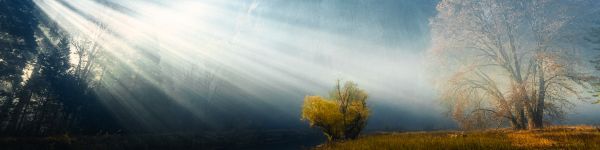 sunlight, landscape Wallpaper 1590x400