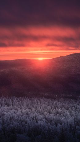 dawn, landscape, sunlight Wallpaper 640x1136