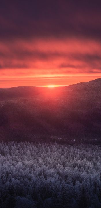 dawn, landscape, sunlight Wallpaper 1080x2220
