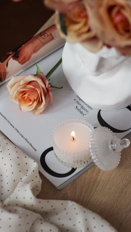 aesthetics, candle, pink rose Wallpaper 640x1136