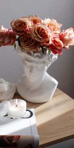 Обои 720x1440 Давид, розовые розы, эстетика
