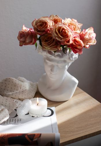 Обои 1640x2360 Давид, розовые розы, эстетика