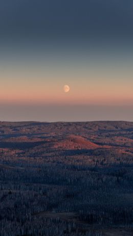 landscape, sunrise, moon Wallpaper 640x1136