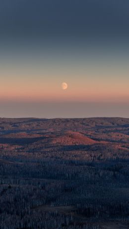 landscape, sunrise, moon Wallpaper 750x1334