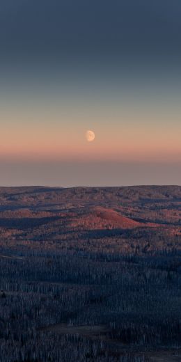 landscape, sunrise, moon Wallpaper 720x1440