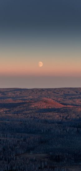 landscape, sunrise, moon Wallpaper 720x1520