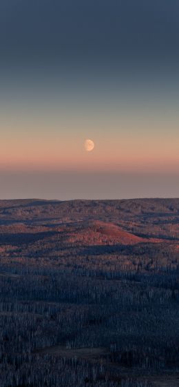 landscape, sunrise, moon Wallpaper 1284x2778