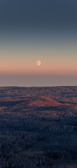 landscape, sunrise, moon Wallpaper 1080x2340