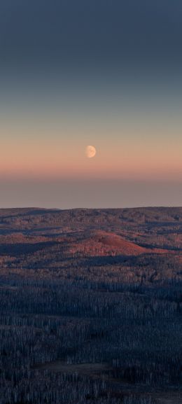 landscape, sunrise, moon Wallpaper 1440x3200