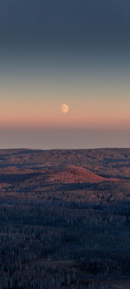 landscape, sunrise, moon Wallpaper 1080x2400