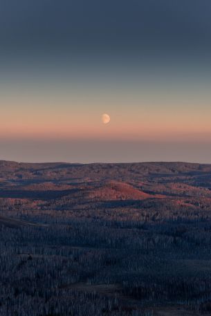 landscape, sunrise, moon Wallpaper 640x960