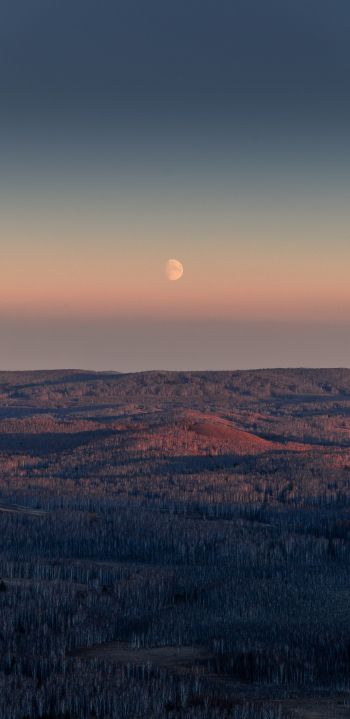landscape, sunrise, moon Wallpaper 1080x2220