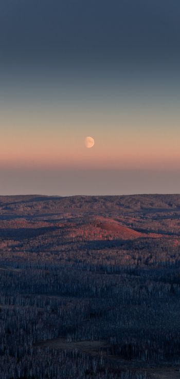 landscape, sunrise, moon Wallpaper 1080x2280