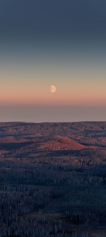 landscape, sunrise, moon Wallpaper 720x1600