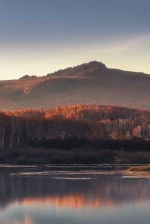 landscape, forest Wallpaper 640x960