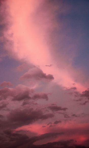 cumulus clouds, sky Wallpaper 1200x2000