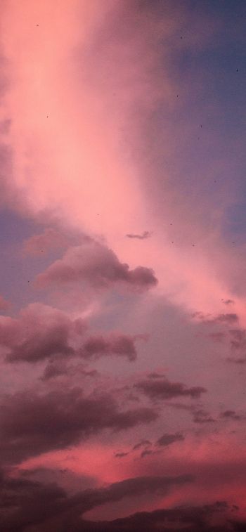 cumulus clouds, sky Wallpaper 1284x2778