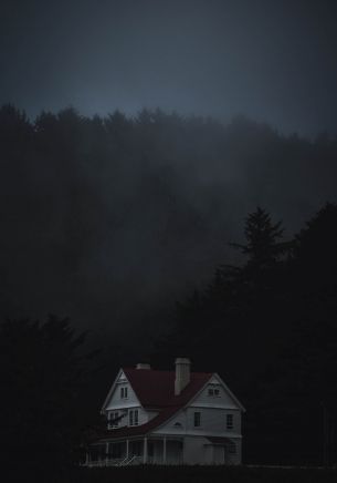 house, night, dark Wallpaper 1668x2388