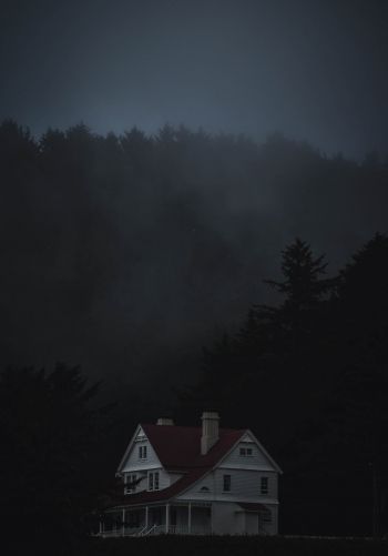 house, night, dark Wallpaper 1668x2388