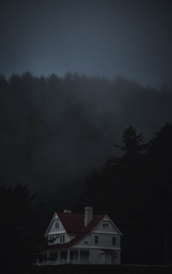 house, night, dark Wallpaper 1752x2800