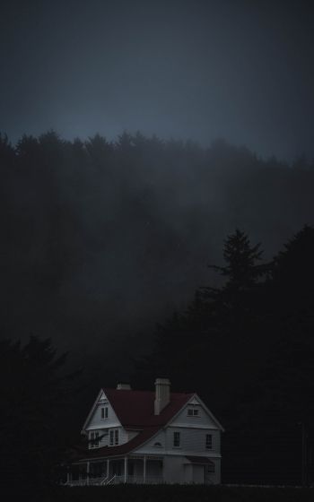 house, night, dark Wallpaper 1600x2560