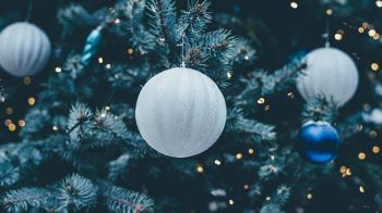 Christmas toys, Christmas tree, christmas Wallpaper 1600x900