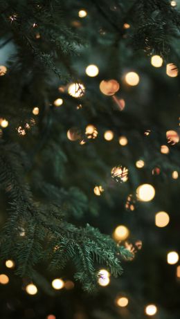Обои 640x1136 Новогодняя елка, Рождество