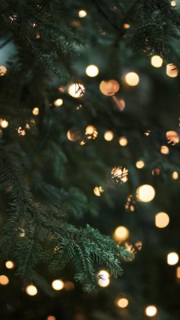Обои 1080x1920 Новогодняя елка, Рождество