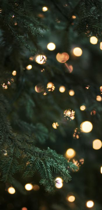Christmas tree, christmas Wallpaper 1080x2220