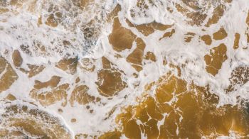 brown, sea foam Wallpaper 1280x720