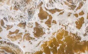 brown, sea foam Wallpaper 1920x1200