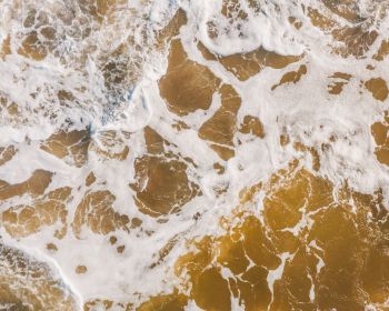 brown, sea foam Wallpaper 1280x1024
