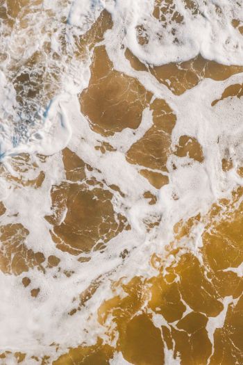 brown, sea foam Wallpaper 640x960