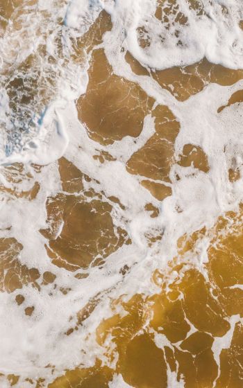 brown, sea foam Wallpaper 800x1280