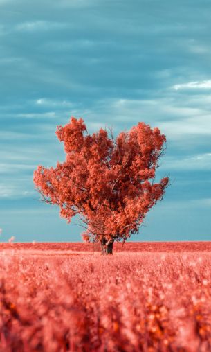 tree, landscape, red Wallpaper 1200x2000