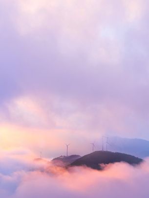 fog, sky, clouds Wallpaper 1620x2160