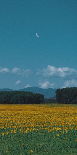 landscape, blue sky, crescent Wallpaper 720x1440