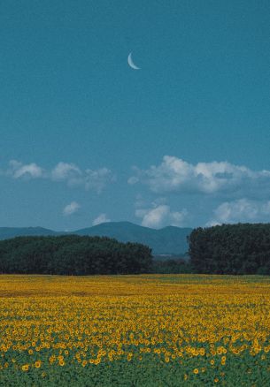 landscape, blue sky, crescent Wallpaper 1640x2360