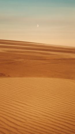 Arrakis, desert, sand Wallpaper 640x1136