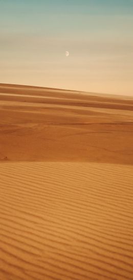 Arrakis, desert, sand Wallpaper 1080x2280