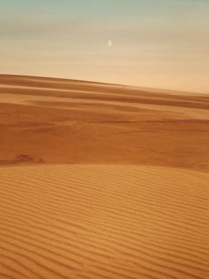 Arrakis, desert, sand Wallpaper 2048x2732