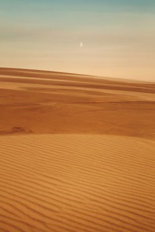 Обои 3648x5472 Арракис, пустыня, песок