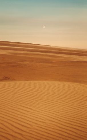Обои 1752x2800 Арракис, пустыня, песок