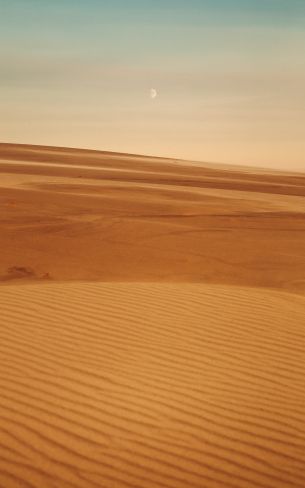 Arrakis, desert, sand Wallpaper 1600x2560