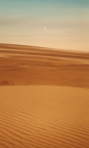 Arrakis, desert, sand Wallpaper 1200x2000